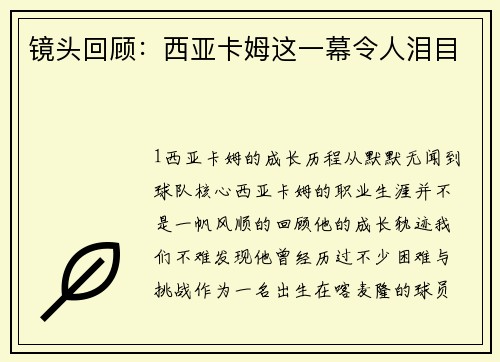 镜头回顾：西亚卡姆这一幕令人泪目